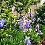 Manoir Des Vites, Charming