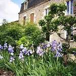 Manoir Des Vités, Charming Saint-Ferme
