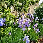 Manoir Des Vités, Charming *