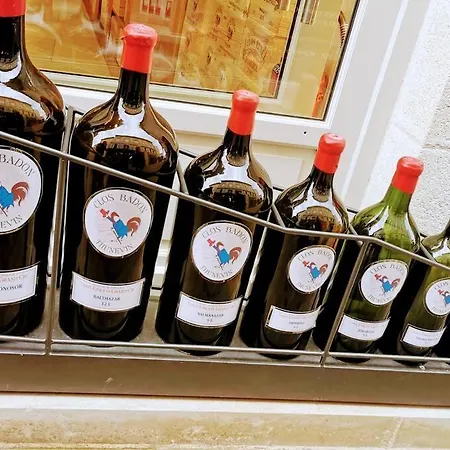 펜션 Manoir Des Vites, Charming *