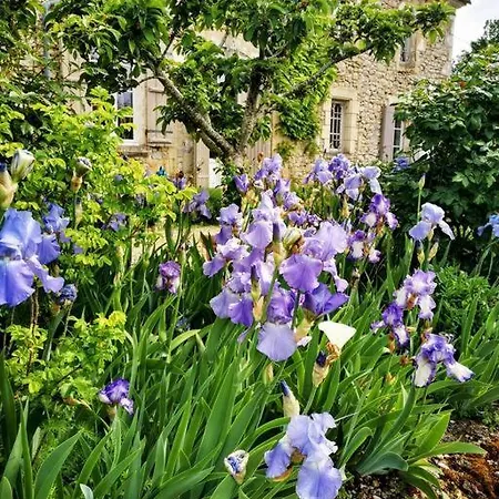 Manoir Des Vites, Charming