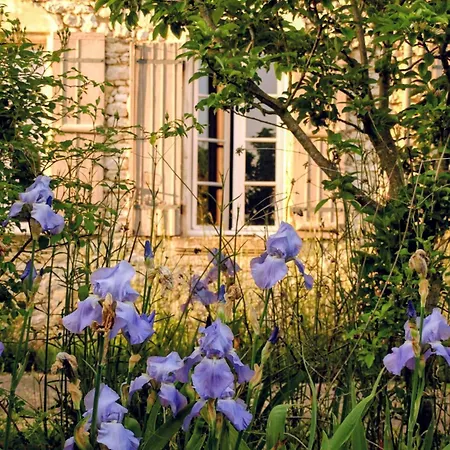 펜션 Manoir Des Vites, Charming *