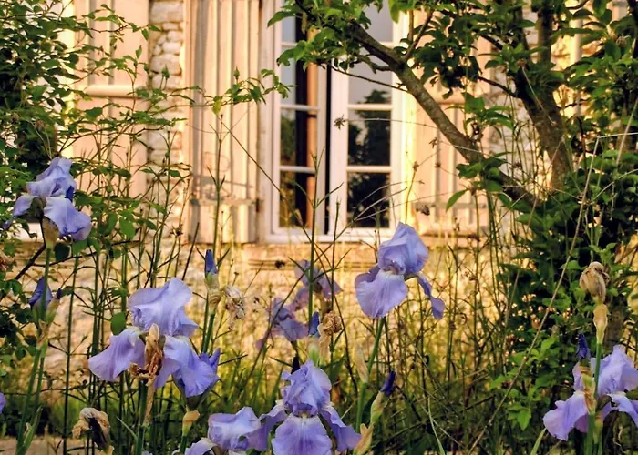 別荘 Manoir Des Vites, Charming *